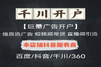 竞价广告的投放策略与效果评估——以一成功企业为例